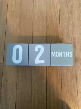 Gray Baby Milestone Blocks